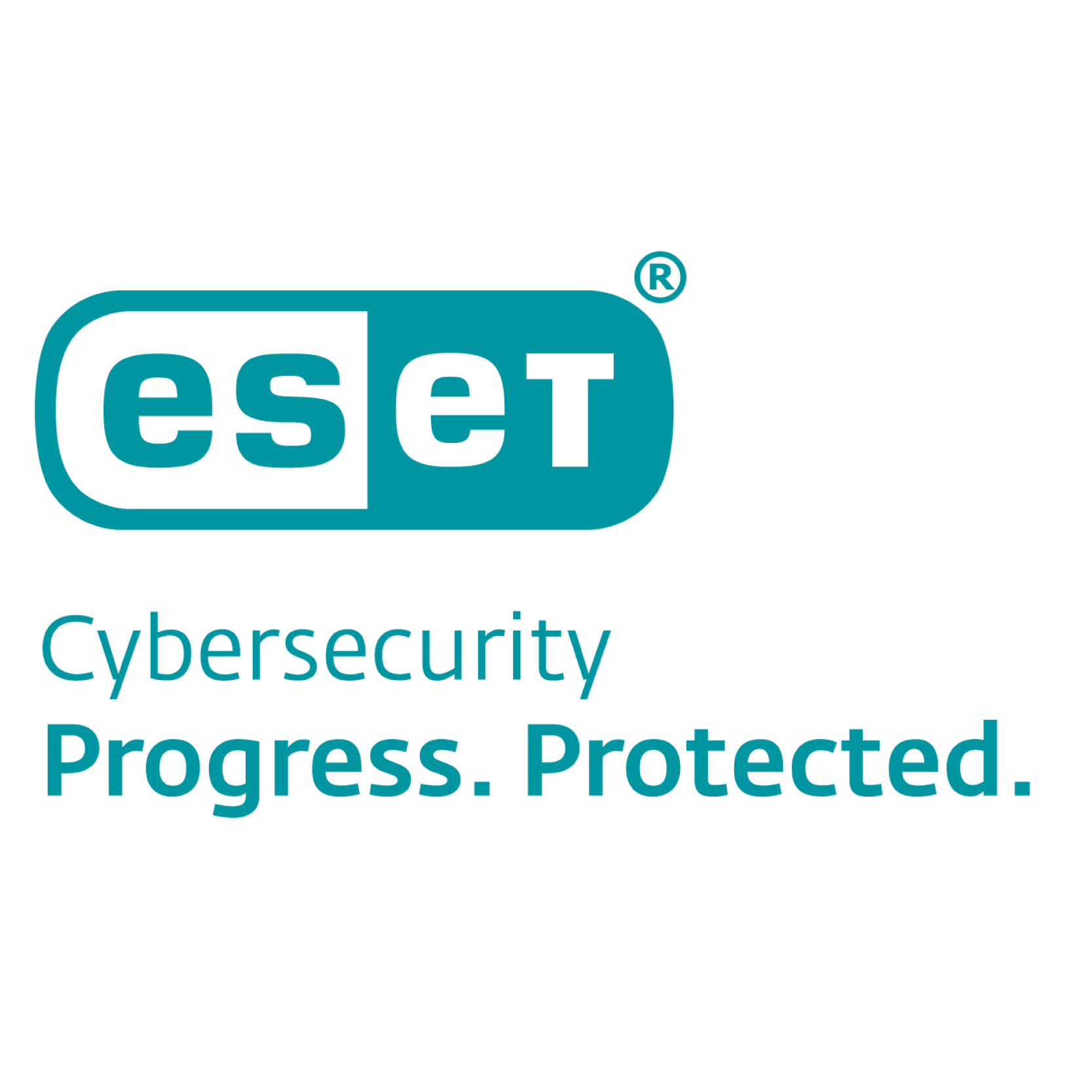 ESET CS PP Secondary Left Color@4x 800x800px 01